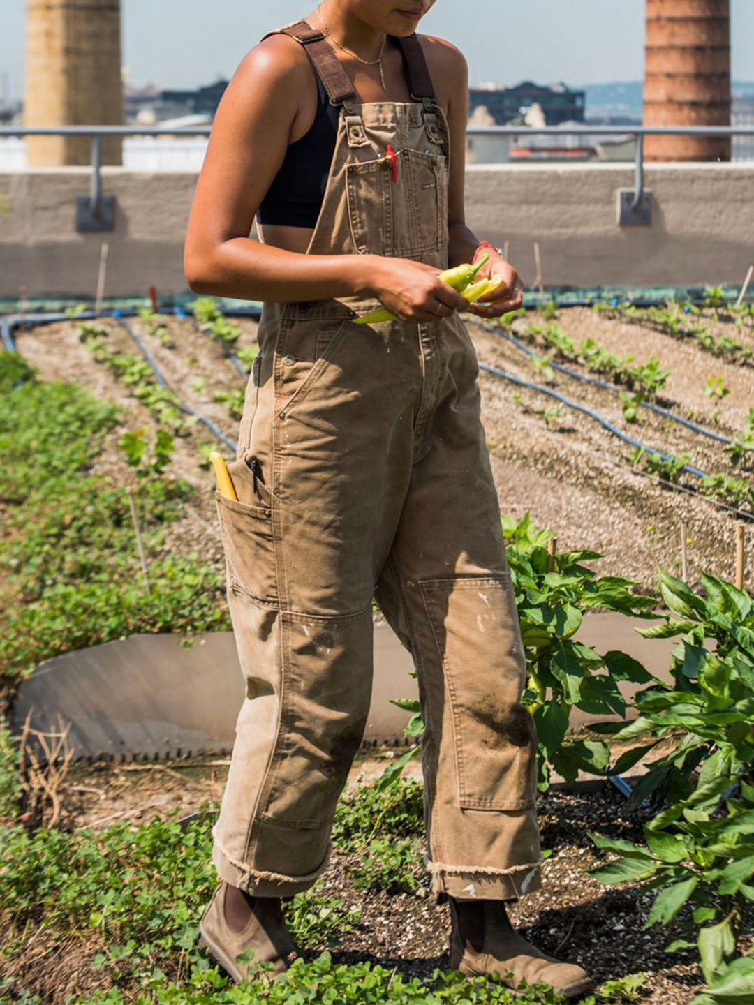 Dakota | Stylish Dungarees